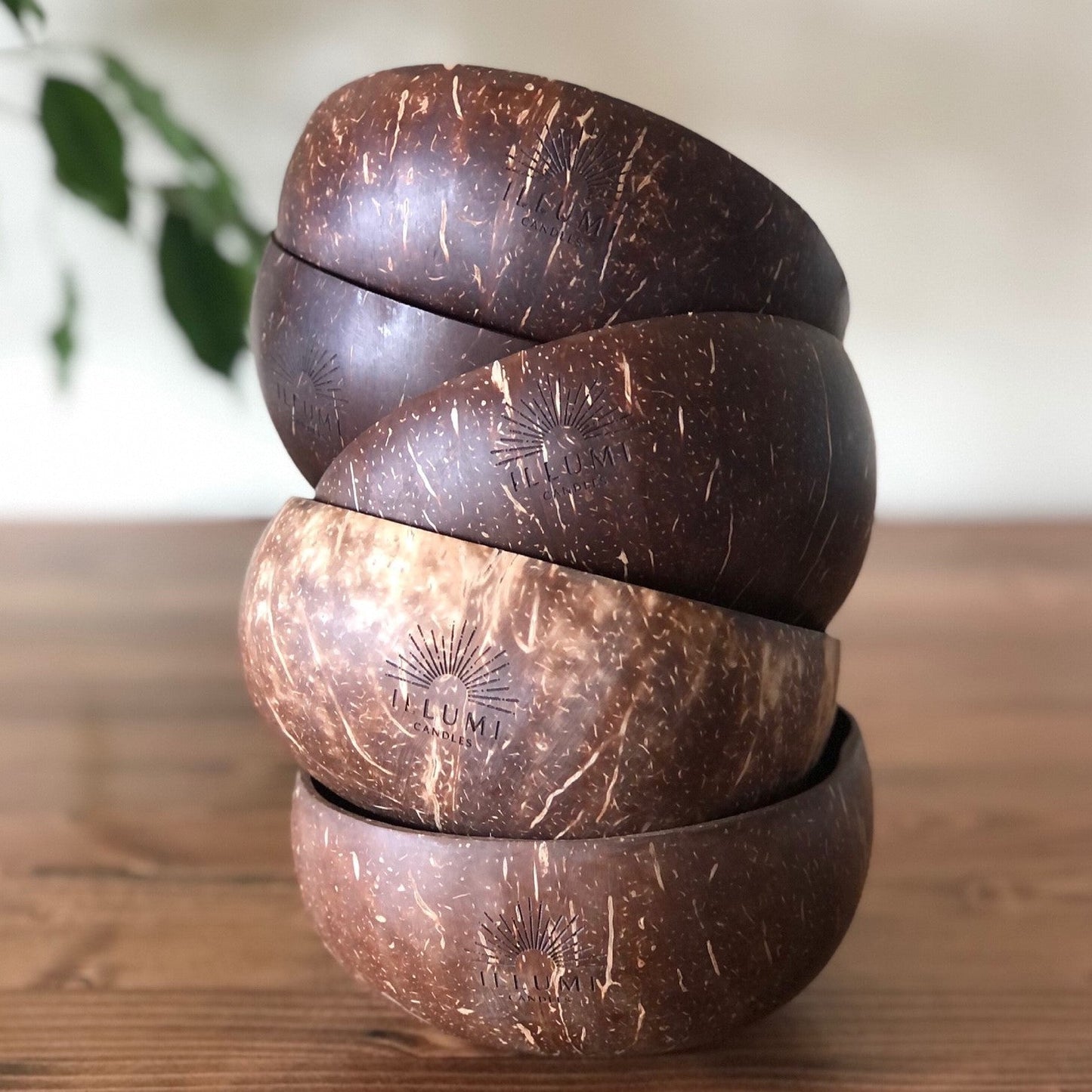 Handcrafted Coconut Bowl - Single